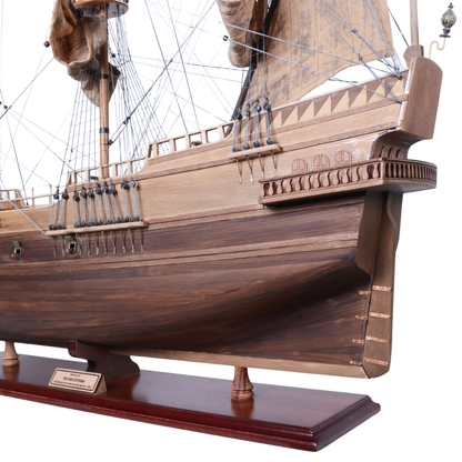 T404_San Esteban (1554 shipwreck)