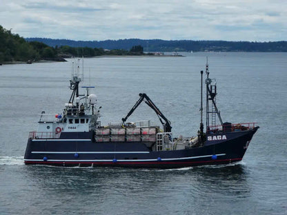 F/V Saga 30 inches fishing boat model