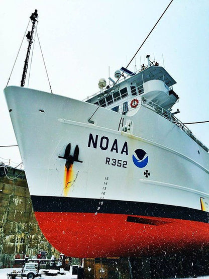 NOAA Ship Nancy Foster (R 352) 30 Inches Ship Model