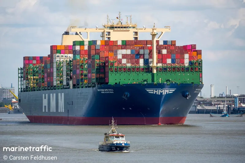 HMM Algeciras 36 inches Container Ship Model