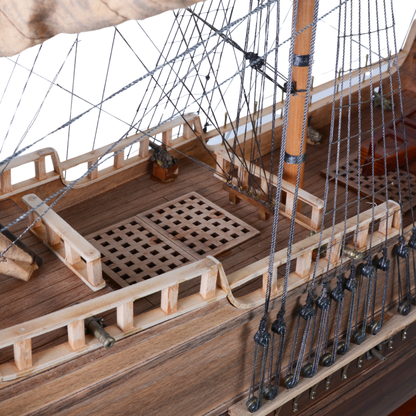 T404_San Esteban (1554 shipwreck)
