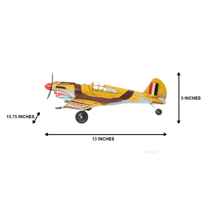 1941 Curtiss Hawk 81A 1:29