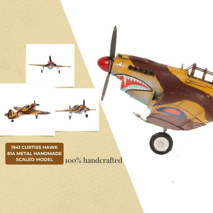 1941 Curtiss Hawk 81A Metal Handmade Scaled Model