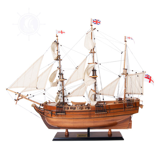 Beagle Ship Model Admiral Line