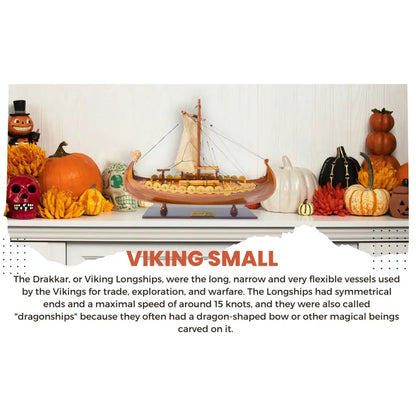 Viking Small Ship Model