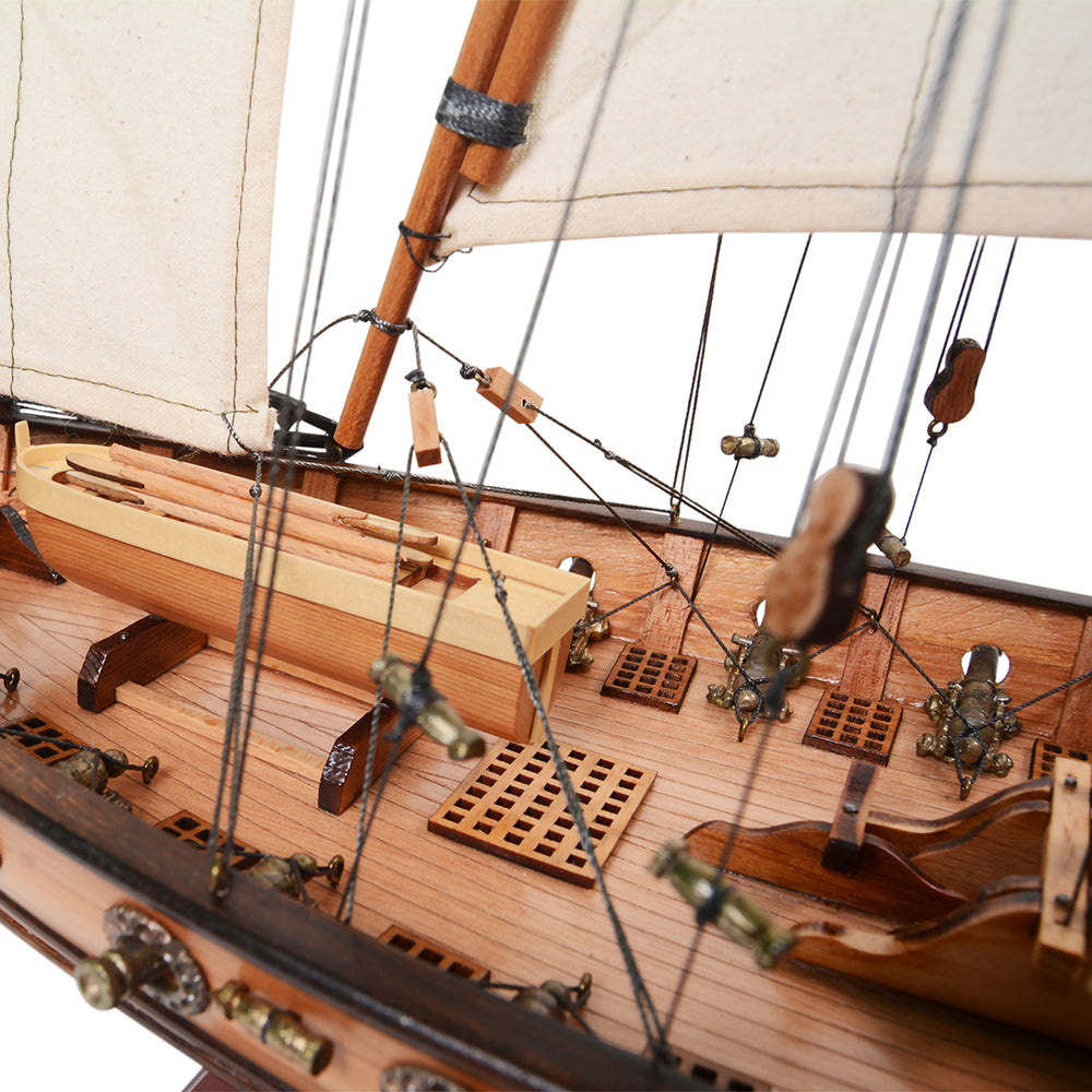 Xebec Ship Model