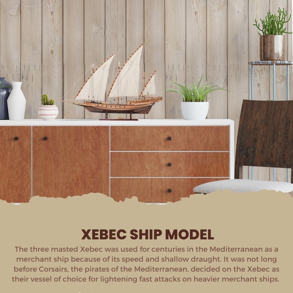 Xebec Ship Model