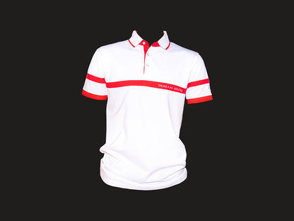 Drakkar Viking Combo: A Model and Polo Shirt Set
