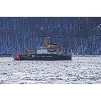 USCGC Willow (WLB-202) 30 Inches L Ship Model