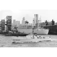 USCGC Cape Gull (WPB-95304) 30 Inches L Ship Model