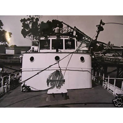USCGC Cape Carter (WPB-95309) 30 Inches L Ship Model