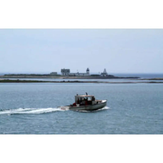 USCGC Cape Porpoise (WPB-95327) 30 Inches L Ship Model