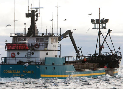 F/V Cornelia Mar 30 inches fishing boat model