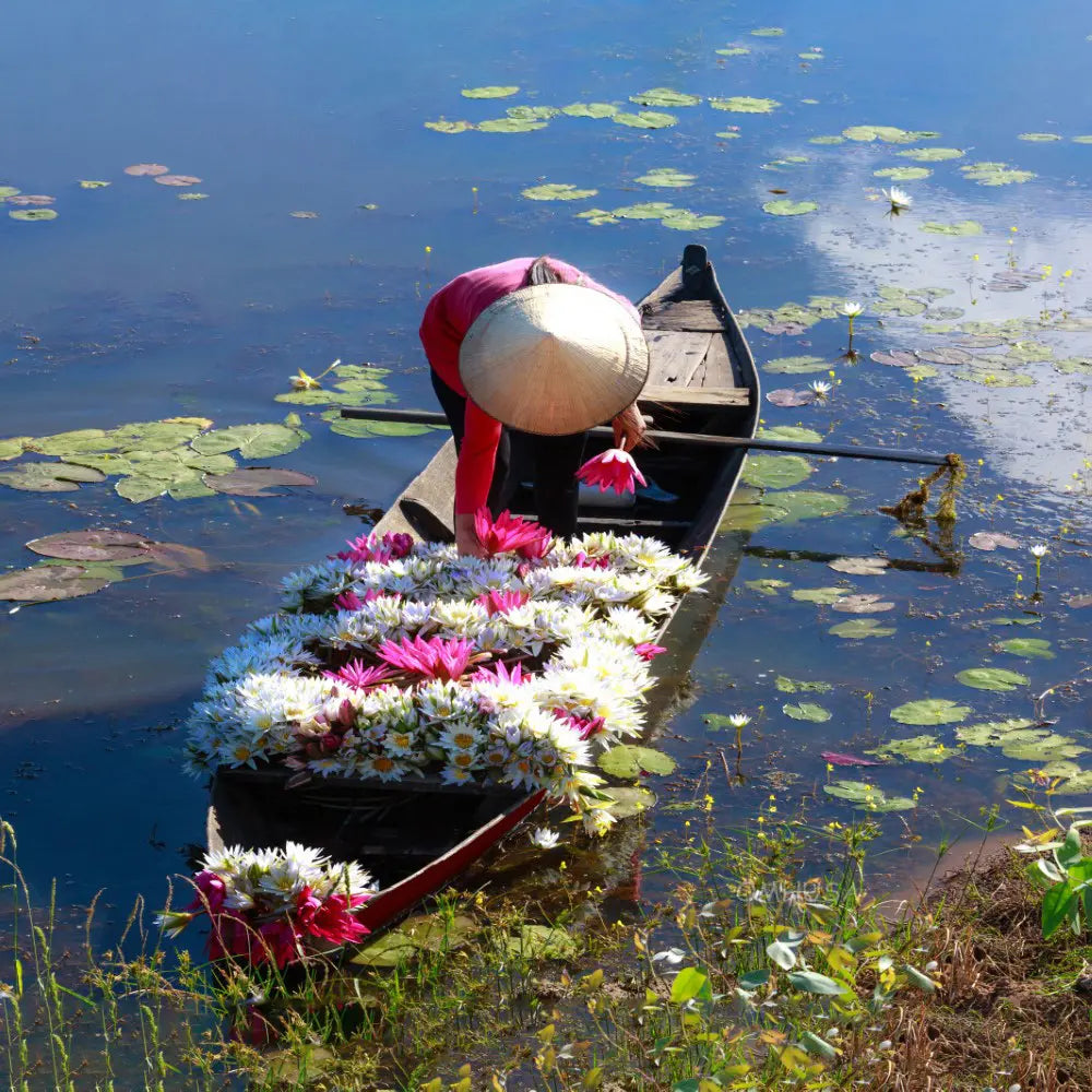 South East Asia Sampan Boat Red Bottom Thuyen Ba La Tam Ban