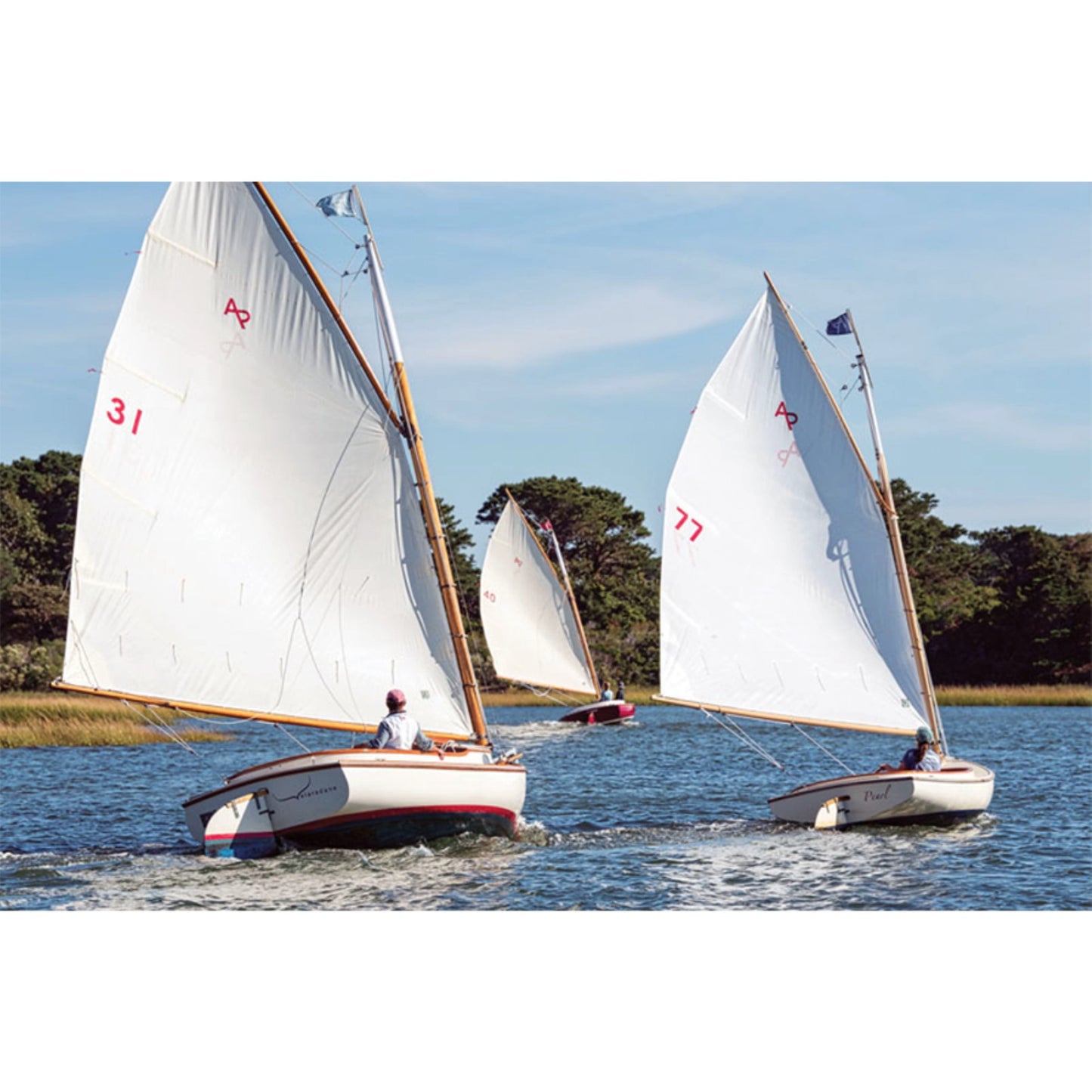 The Catboat 16ft. Custom Built Sailboat