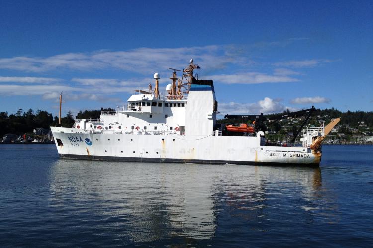 NOAA Ship Bell M. Shimada (R 227) 30 Inches Ship Model