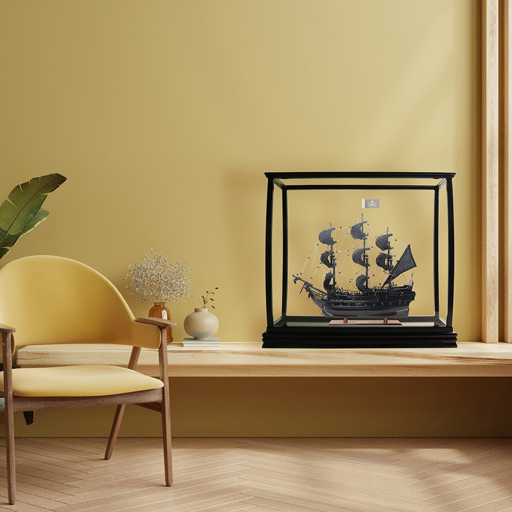 Display case for tall ship medium