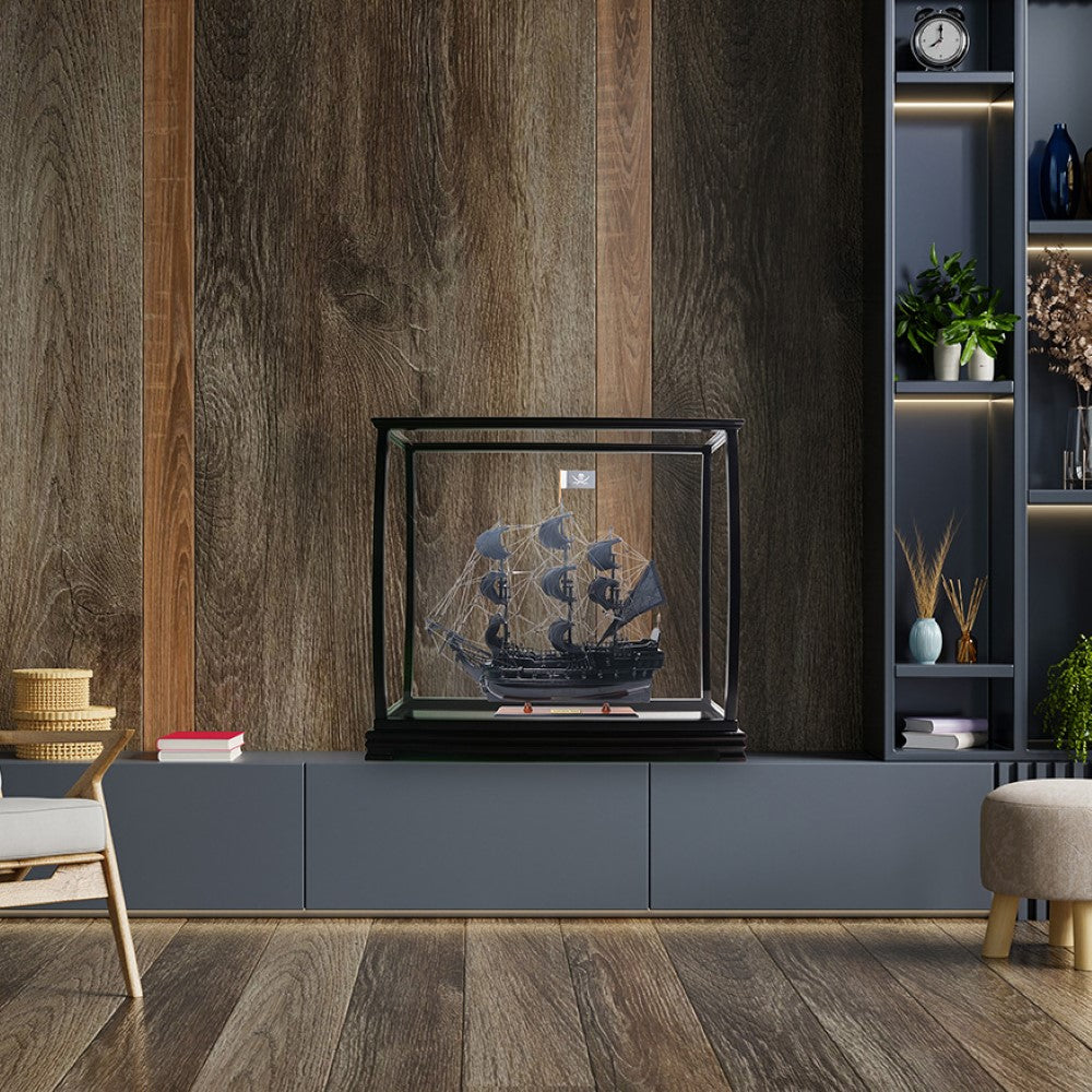 Display case for tall ship medium