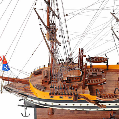 Amerigo Vespucci Medium Admiral Line | New Model