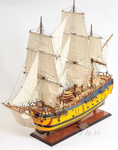 HMS Endeavour Painted Admiral Line