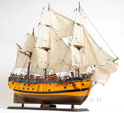 HMS Endeavour Painted Admiral Line