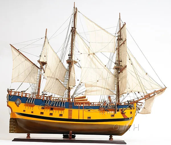 HMS Endeavour Painted Admiral Line