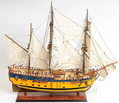 HMS Endeavour Painted Admiral Line