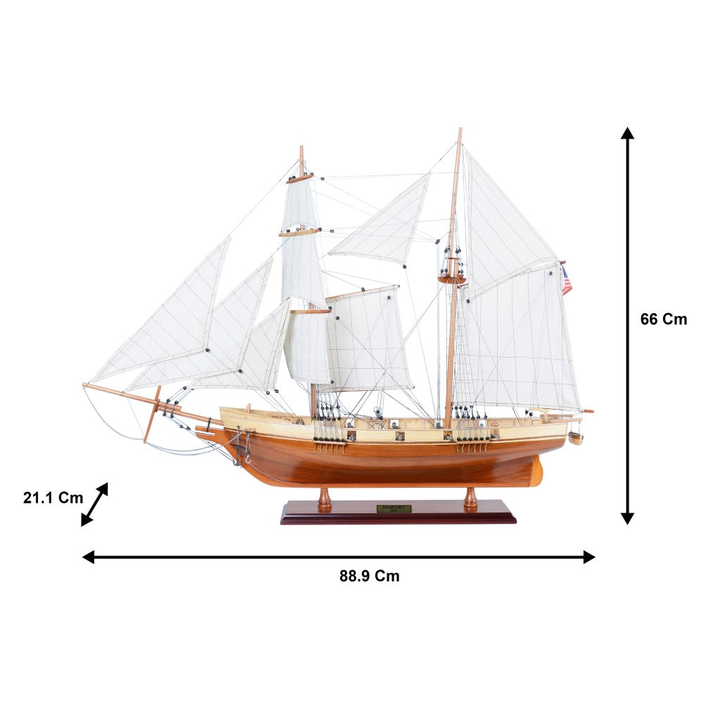 Harvey Ship Model Captain Line