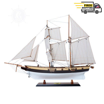 Lynx Painted Tall Ship Model Captain Line