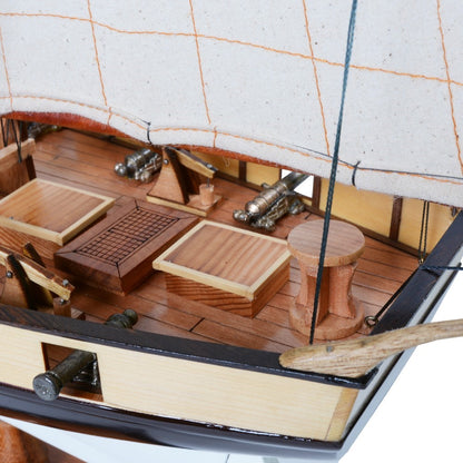 Lynx Painted Tall Ship Model Captain Line