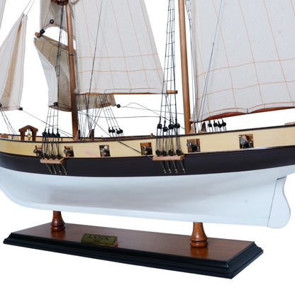 Lynx Painted Tall Ship Model Captain Line