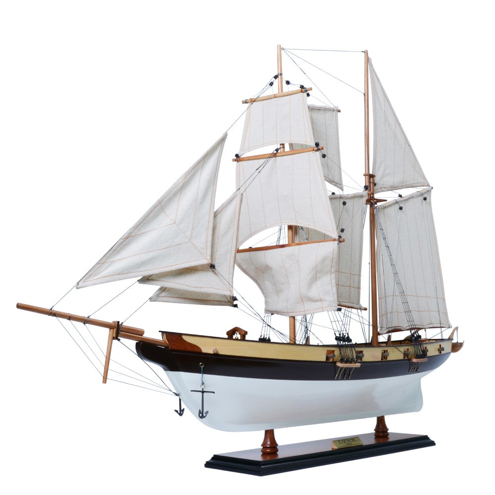 Lynx Painted Tall Ship Model Captain Line