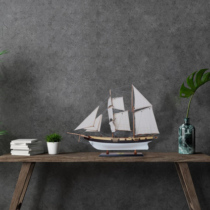 Lynx Painted Tall Ship Model Captain Line
