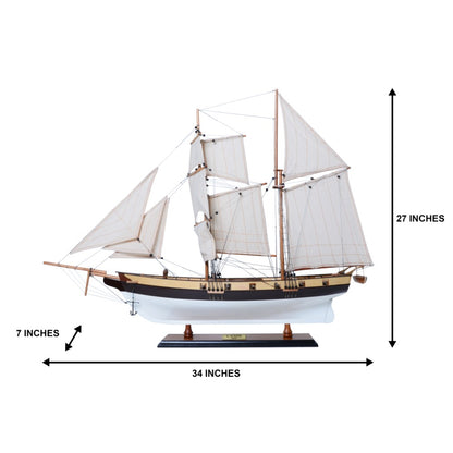 Lynx Painted Tall Ship Model Captain Line