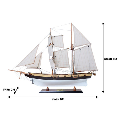 Lynx Painted Tall Ship Model Captain Line