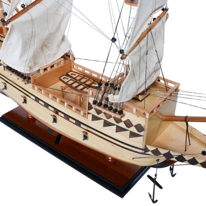 Mayflower Medium - Fully Assemble Captain Line