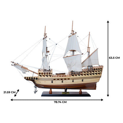 Mayflower Medium - Fully Assemble Captain Line