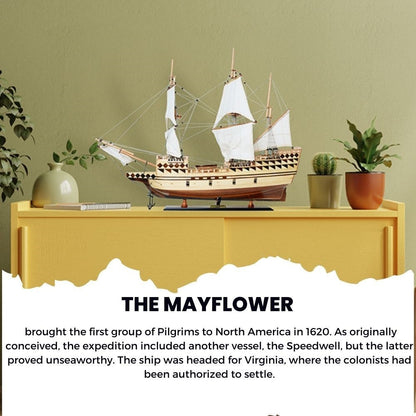Mayflower Medium - Fully Assemble Captain Line