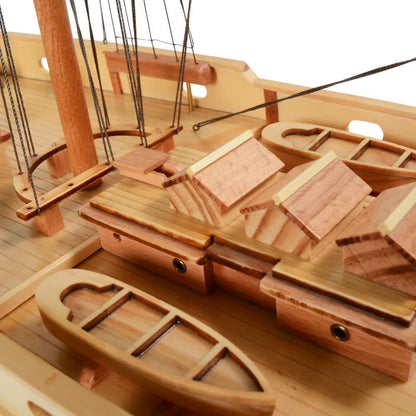 Bluenose II Painted L