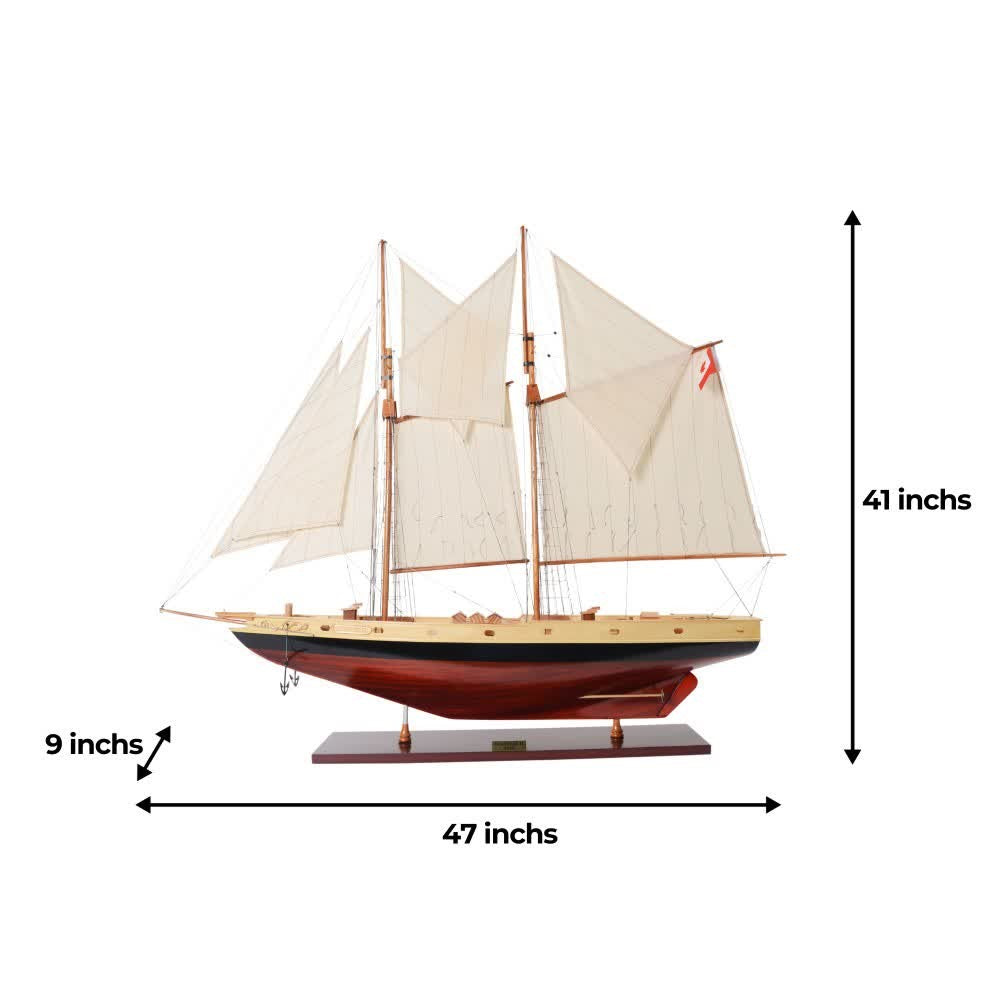 Bluenose II Painted L