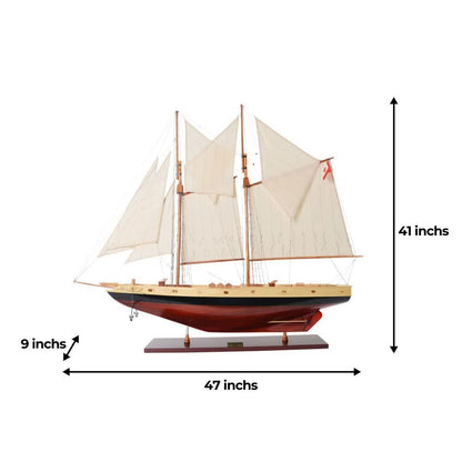 Bluenose II Painted L