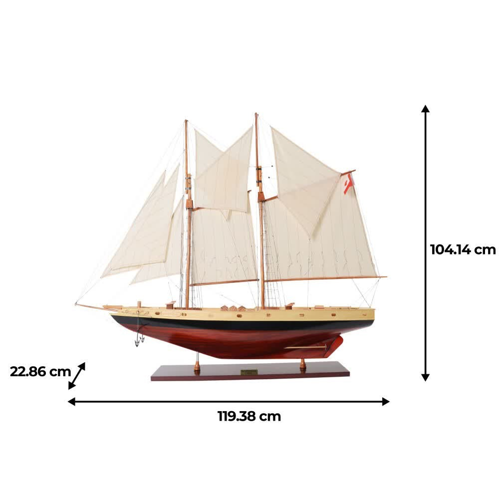 Bluenose II Painted L