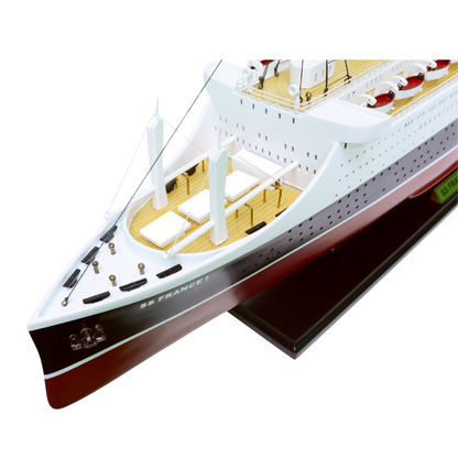 SS France Painted