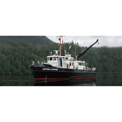 USCGC Bitt (WYTL-65613) 36 Inches L Ship Model