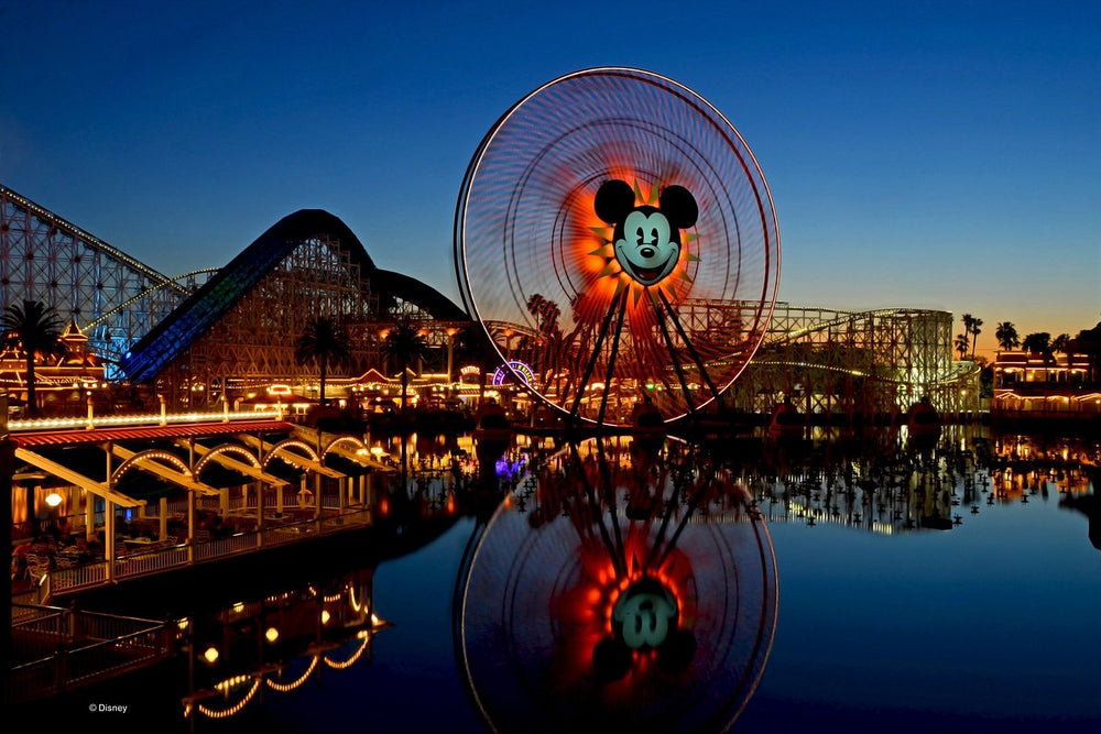 Disney Adventure Park