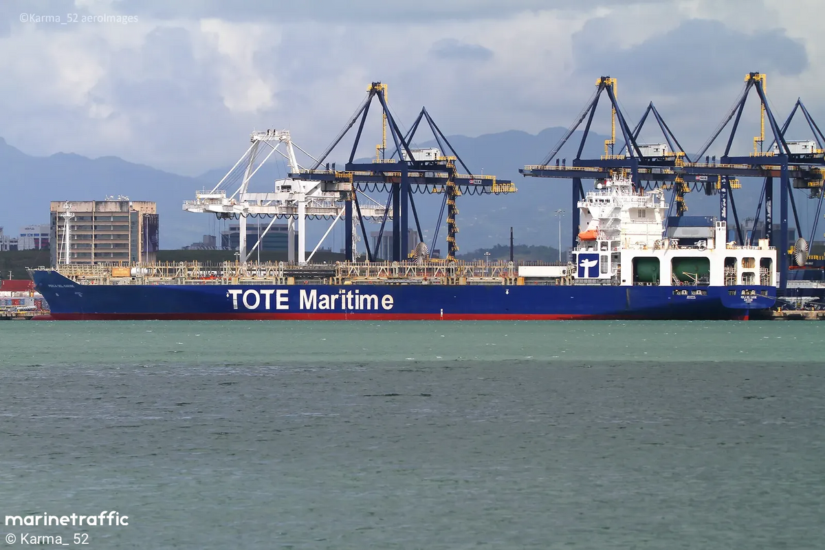 Perla del Caribe 30 inches Container Ship Model