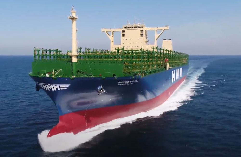 HMM Algeciras 36 inches Container Ship Model