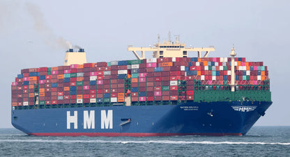 HMM Algeciras 36 inches Container Ship Model