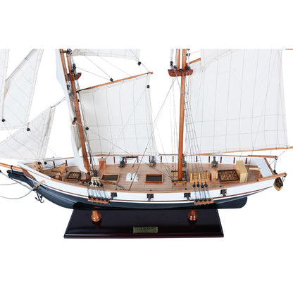 Harvey Painted Ship Model Captain Line