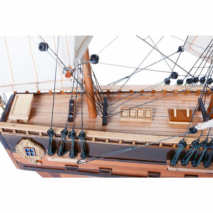 HMS Endeavour Small